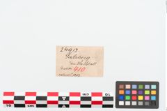 Etiketten zu Bronzekugelkopfnadel (NHMW-PRAE-024913)